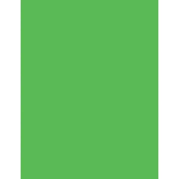 Pacon Paper, Bond, Neon, 24#, Ltr, Grn, PK100 PAC104317 - main